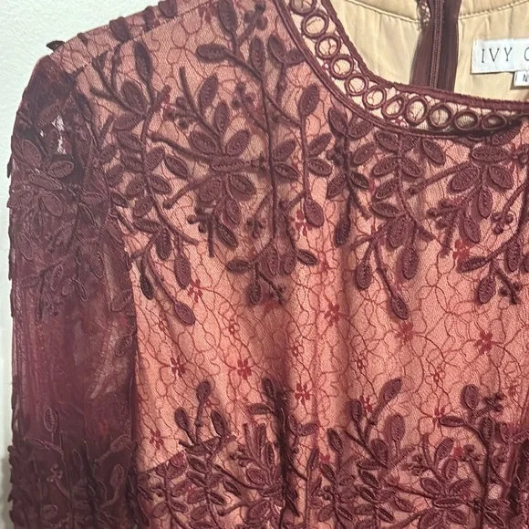 Ivy City Co Sicily Dress in Burgundy - Picture 7 of 7